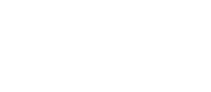 DICK'S Sporting Goods logo