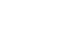 MISSION logo