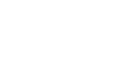 dicks sporting goods white logo
