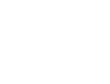 whistle express car wash white logo