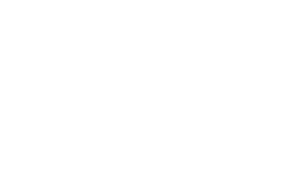 AEA Investors logo