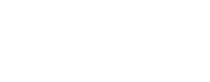 Topspin Consumer Partners logo