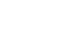 Double Verify logo