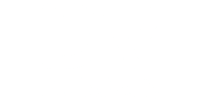 Double Verify logo