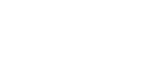 FIS logo