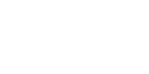 IAero Airways logo