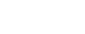 marshall and stevens white logo