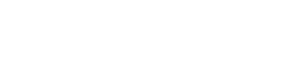 working solutions white logo
